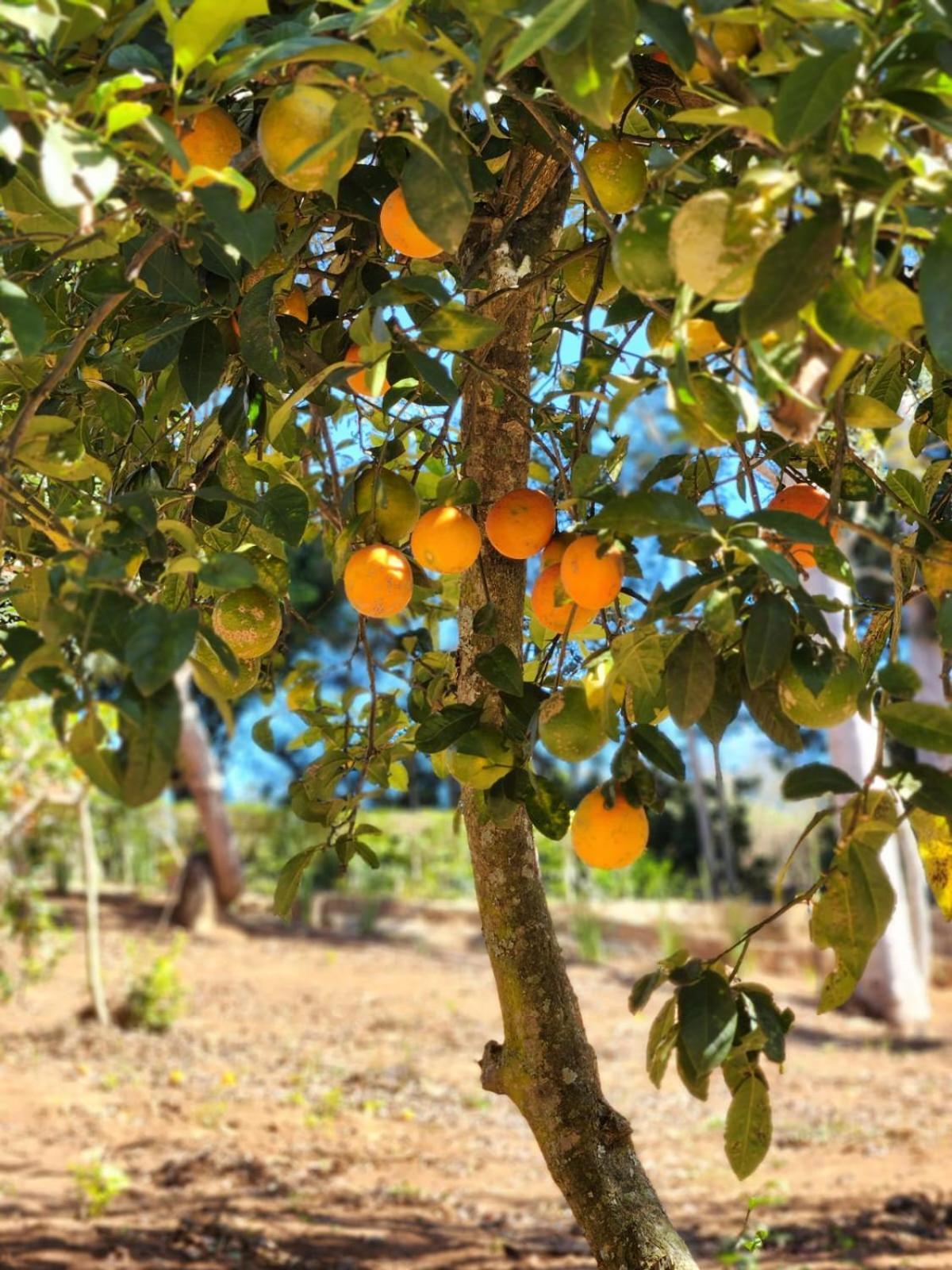 Pousada La Na Roca Paraisopolis Ngoại thất bức ảnh