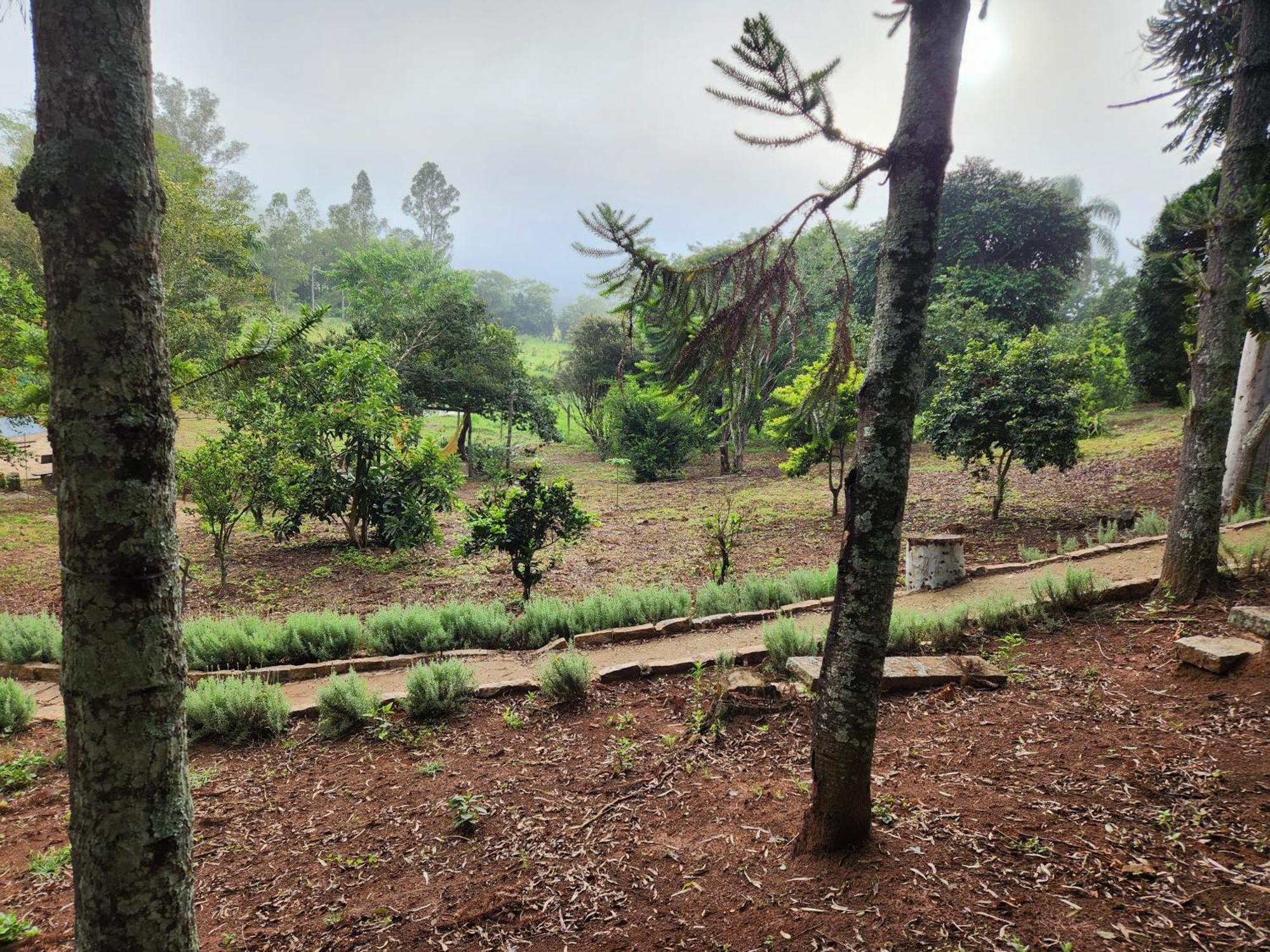 Pousada La Na Roca Paraisopolis Ngoại thất bức ảnh